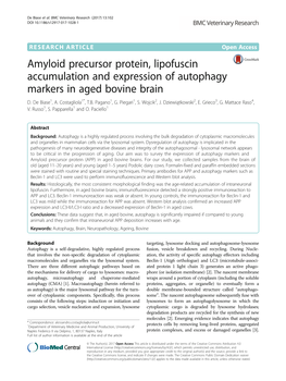 Amyloid Precursor Protein, Lipofuscin Accumulation and Expression of Autophagy Markers in Aged Bovine Brain D