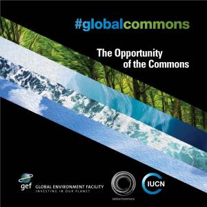 The Opportunity of the Commons