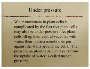Pressure, Turgor Pressure, Water Potential.Pdf