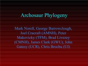 Advanced Theropod Phylogeny