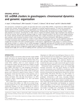 U1 Sndna Clusters in Grasshoppers: Chromosomal Dynamics and Genomic Organization
