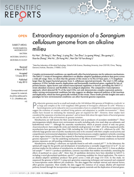 Extraordinary Expansion of a Sorangium Cellulosum Genome