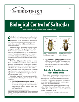 Biological Control of Saltcedar Allen Knutson, Mark Muegge and C