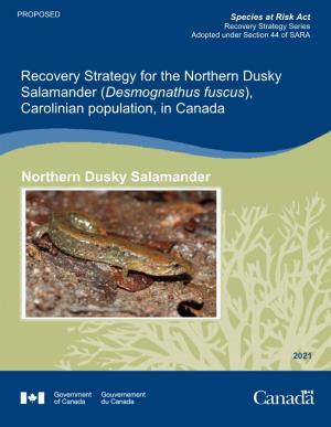 Northern Dusky Salamander (Desmognathus Fuscus), Carolinian Population, in Canada