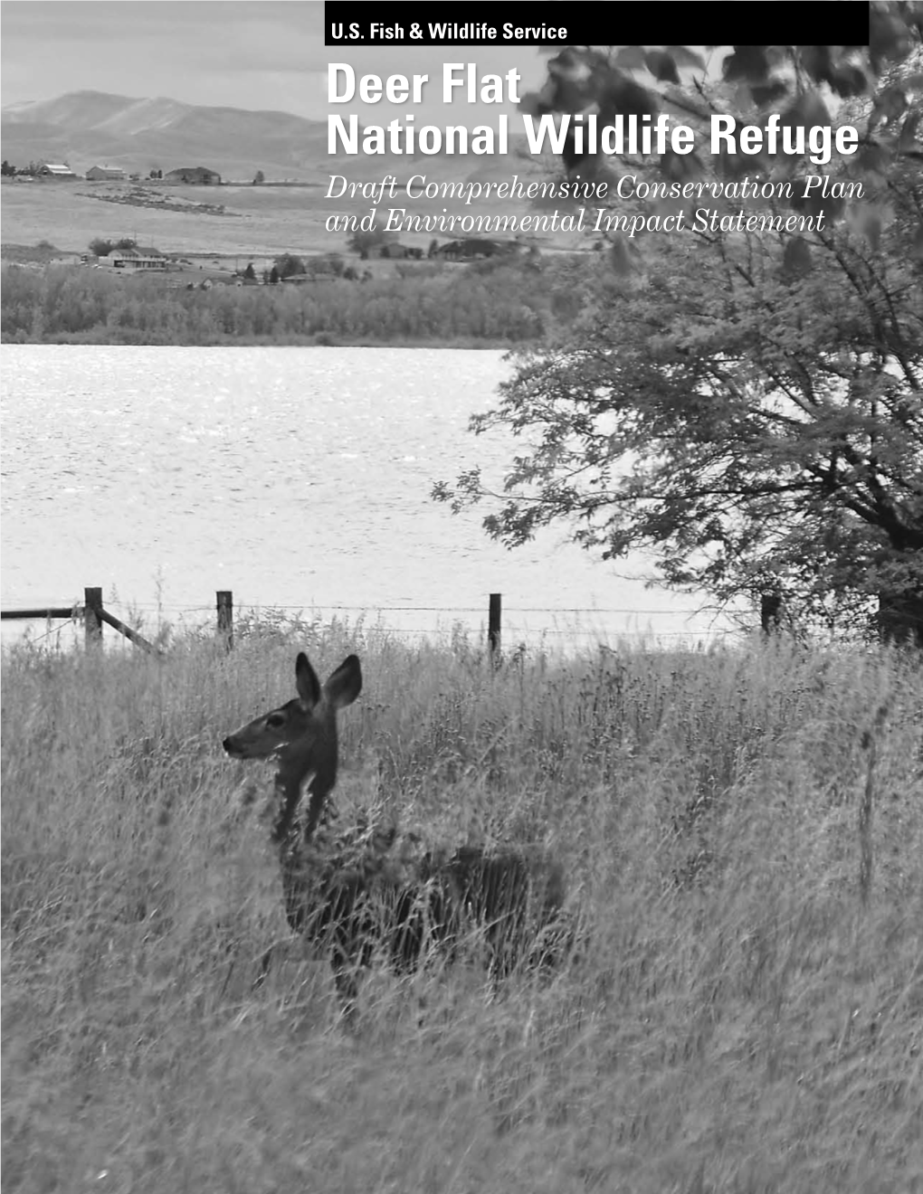 Deer Flat National Wildlife Refuge Impact Plan Environmental Statement and Conservation Comprehensive Draft Deer Flat 13751 Upper Embankment Nampa, ID 83607