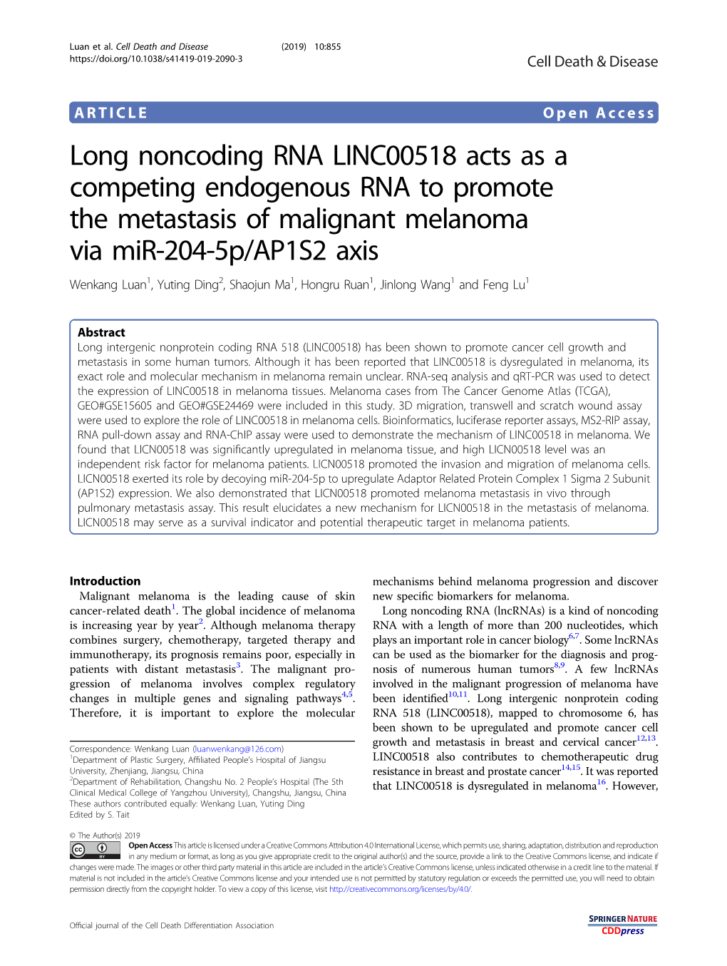 Long Noncoding RNA LINC00518 Acts As a Competing Endogenous RNA