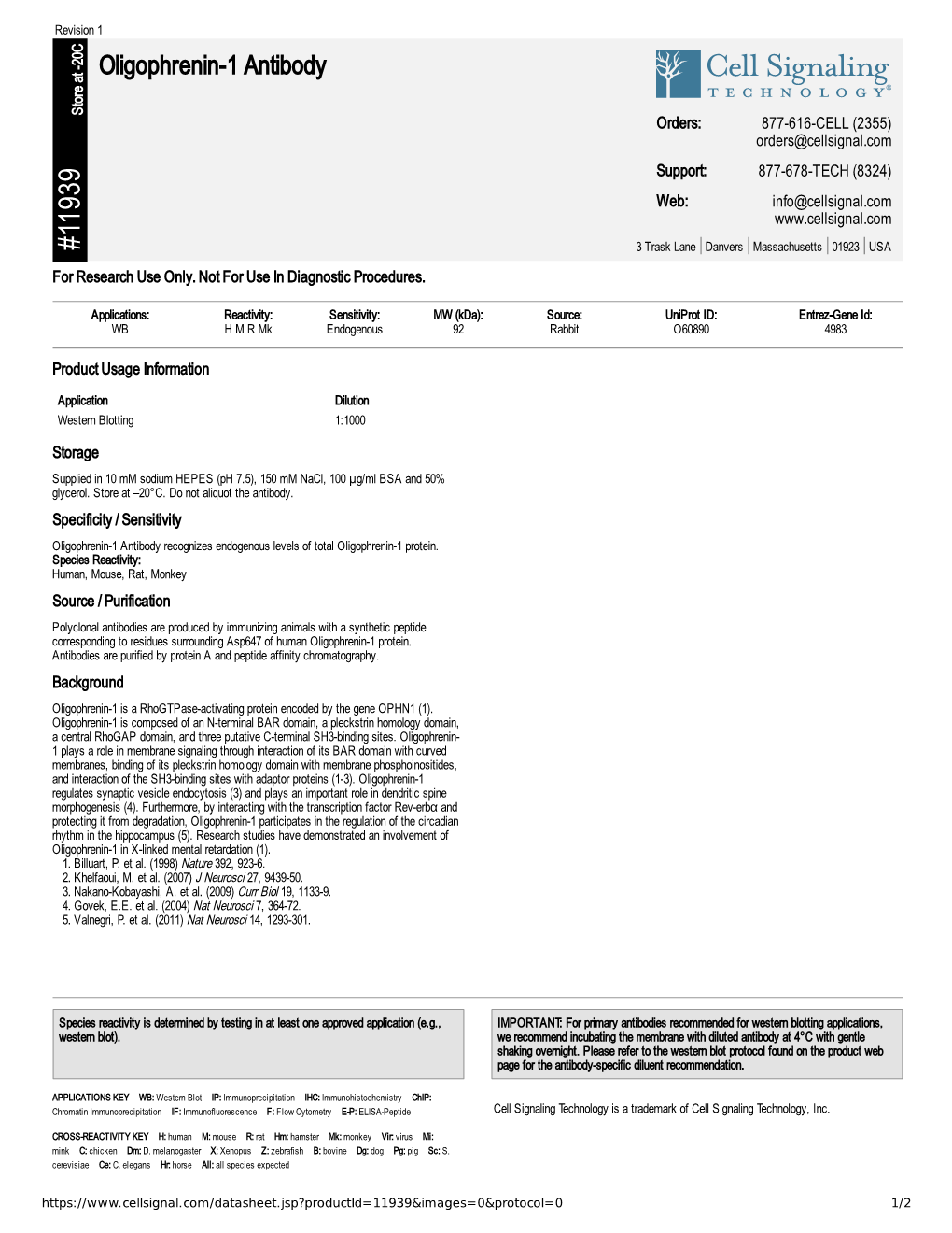 11939 Oligophrenin-1 Antibody