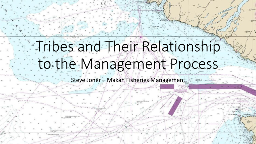 Tribes and Their Relationship to the Management Process Steve Joner – Makah Fisheries Management Columbia River Treaty Tribes