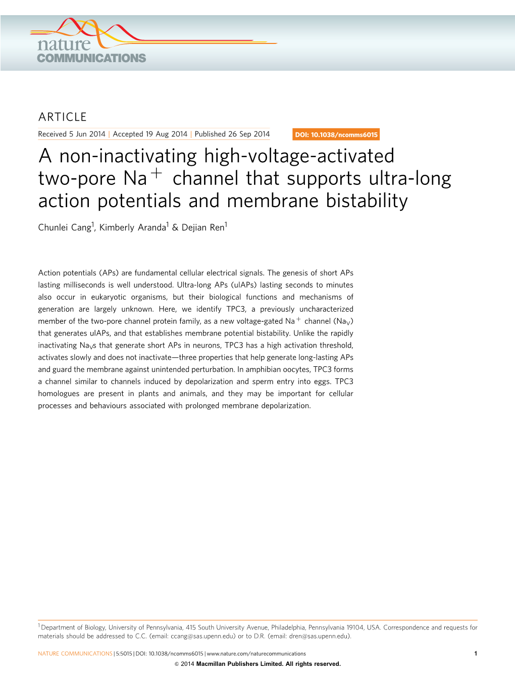 A Non-Inactivating High-Voltage-Activated Two-Pore Na Þ Channel That Supports Ultra-Long Action Potentials and Membrane Bistability