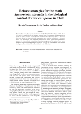 Release Strategies for the Moth Agonopterix Ulicetella in the Biological Control of Ulex Europaeus in Chile