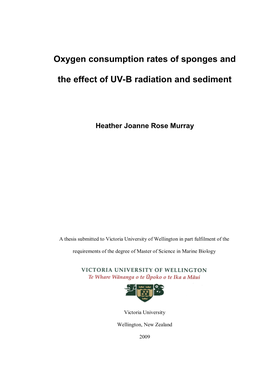 Oxygen Consumption Rates of Sponges and the Effect of UVB Radiation And