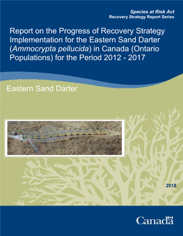 Eastern Sand Darter (Ammocrypta Pellucida) in Canada (Ontario Populations) for the Period 2012 - 2017