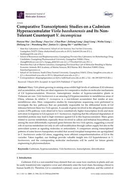 Comparative Transcriptomic Studies on a Cadmium Hyperaccumulator Viola Baoshanensis and Its Non- Tolerant Counterpart V