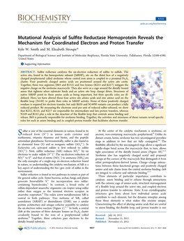 Mutational Analysis of Sulfite Reductase Hemoprotein Reveals the Mechanism for Coordinated Electron and Proton Transfer