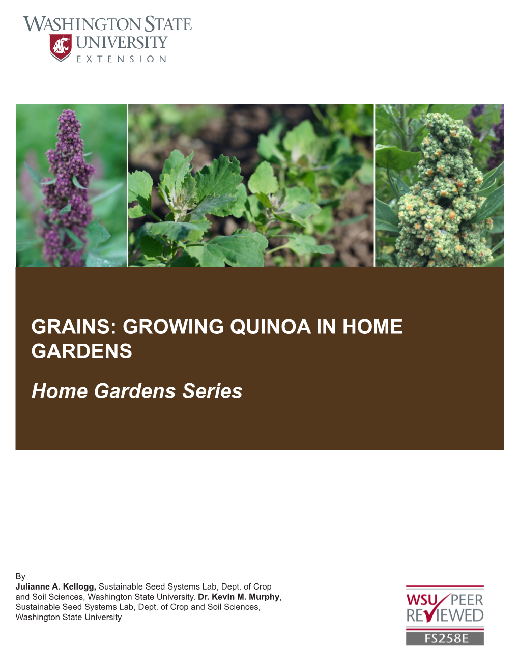 GRAINS: GROWING QUINOA in HOME GARDENS Home Gardens Series