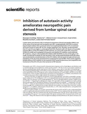 Inhibition of Autotaxin Activity Ameliorates Neuropathic Pain