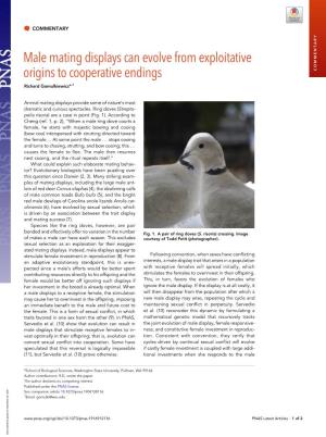 Male Mating Displays Can Evolve from Exploitative Origins to Cooperative Endings COMMENTARY Richard Gomulkiewicza,1