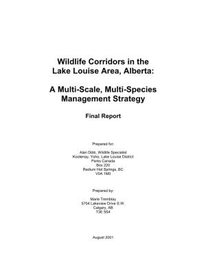 Wildlife Corridors in the Lake Louise Area, Alberta