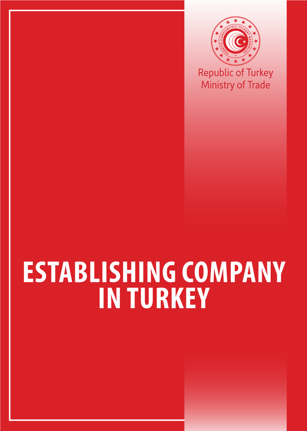 Establishing Company in Turkey