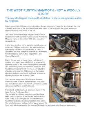 THE WEST RUNTON MAMMOTH - NOT a WOOLLY STORY the World's Largest Mammoth Skeleton - Only Missing Bones Eaten by Hyaenas