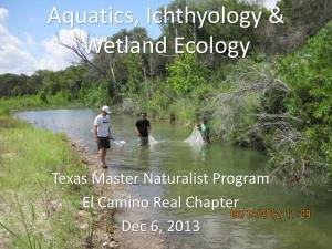 Aquatics, Ichthyology & Wetland Ecology
