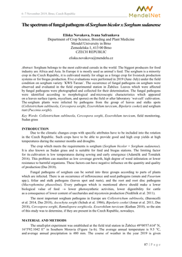 The Spectrum of Fungal Pathogens of Sorghum Bicolor X Sorghum Sudanense