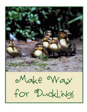 Make Way for Ducklings Make Way for Ducklings Book by Robert Mccloskey Lessons and Printables by Tamara, Kendall, Wende, and Ami