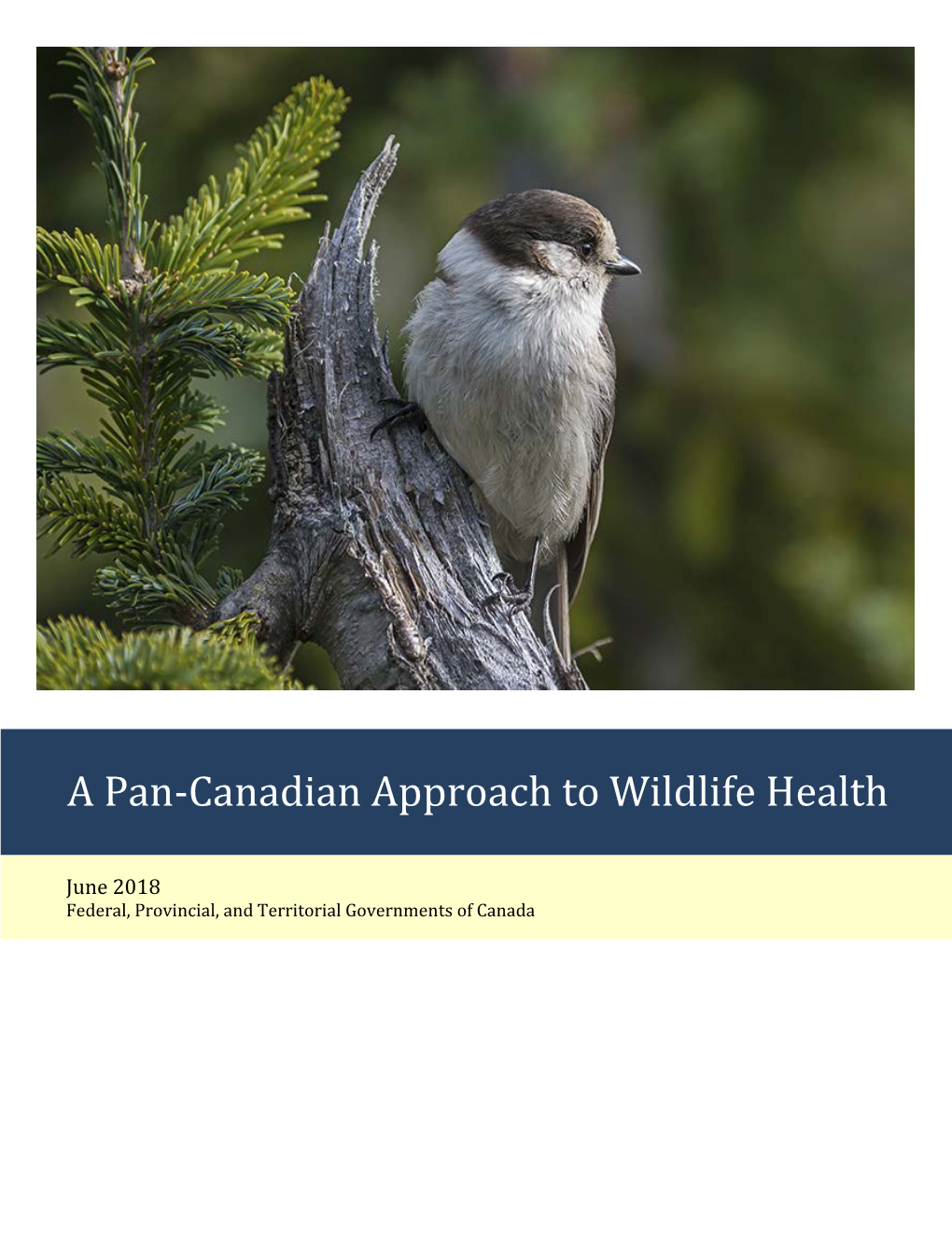 A Pan-Canadian Approach to Wildlife Health