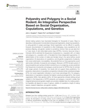 Polyandry and Polygyny in a Social Rodent: an Integrative Perspective Based on Social Organization, Copulations, and Genetics
