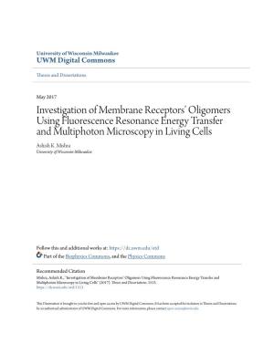 Investigation of Membrane Receptors' Oligomers Using Fluorescence Resonance Energy Transfer and Multiphoton Microscopy in Living Cells”, UW-Milwaukee, Dec 2016 2