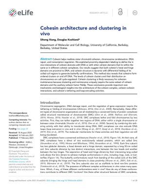 Cohesin Architecture and Clustering in Vivo Siheng Xiang, Douglas Koshland*