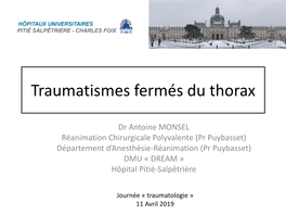 Traumatismes Thoraciques (Antoine MONSEL, Pitié-Salpêtrière)