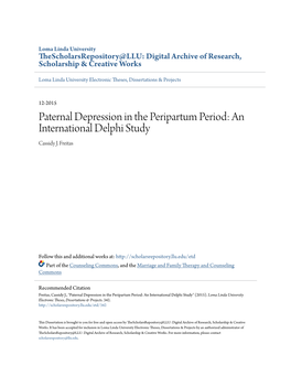 Paternal Depression in the Peripartum Period: an International Delphi Study Cassidy J