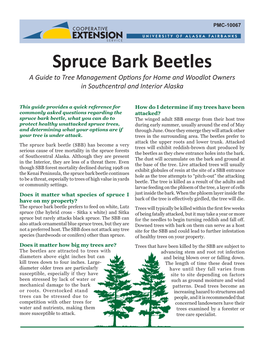 Spruce Bark Beetles a Guide to Tree Management Options for Home and Woodlot Owners in Southcentral and Interior Alaska