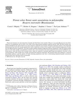 Flower Color–Flower Scent Associations in Polymorphic