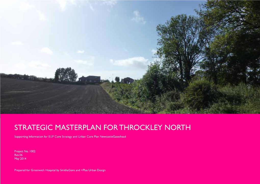 Strategic Masterplan for Throckley North