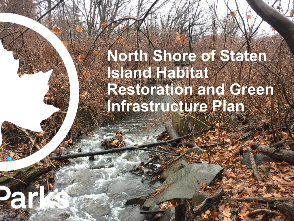 North Shore of Staten Island Habitat Restoration and Green Infrastructure Plan Acknowledgements Executive Summary
