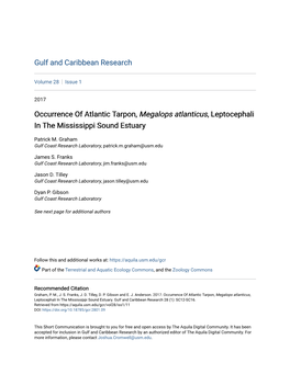 Occurrence of Atlantic Tarpon, Megalops Atlanticus, Leptocephali in the Mississippi Sound Estuary