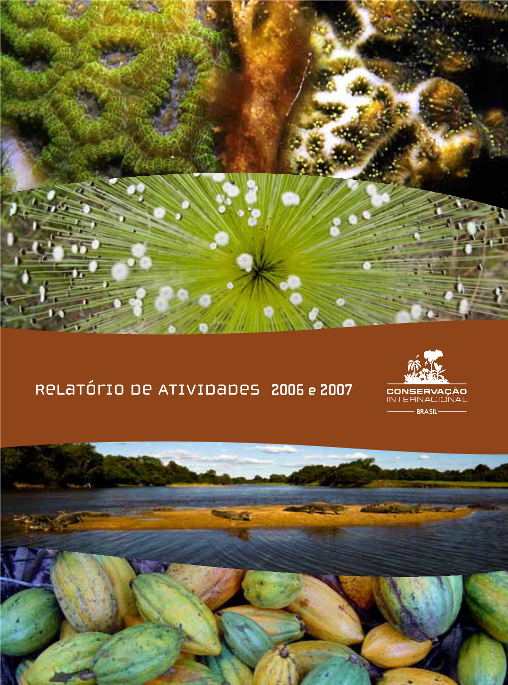 Relatório De Atividades 2006 E 2007 Relatório De Atividades 2006 E 2007 Expediente