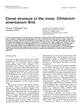 Clonal Structure in the Moss, Climacium Americanum Brid