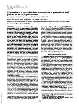 Expression of a Coriander Desaturase Results in Petroselinic Acid