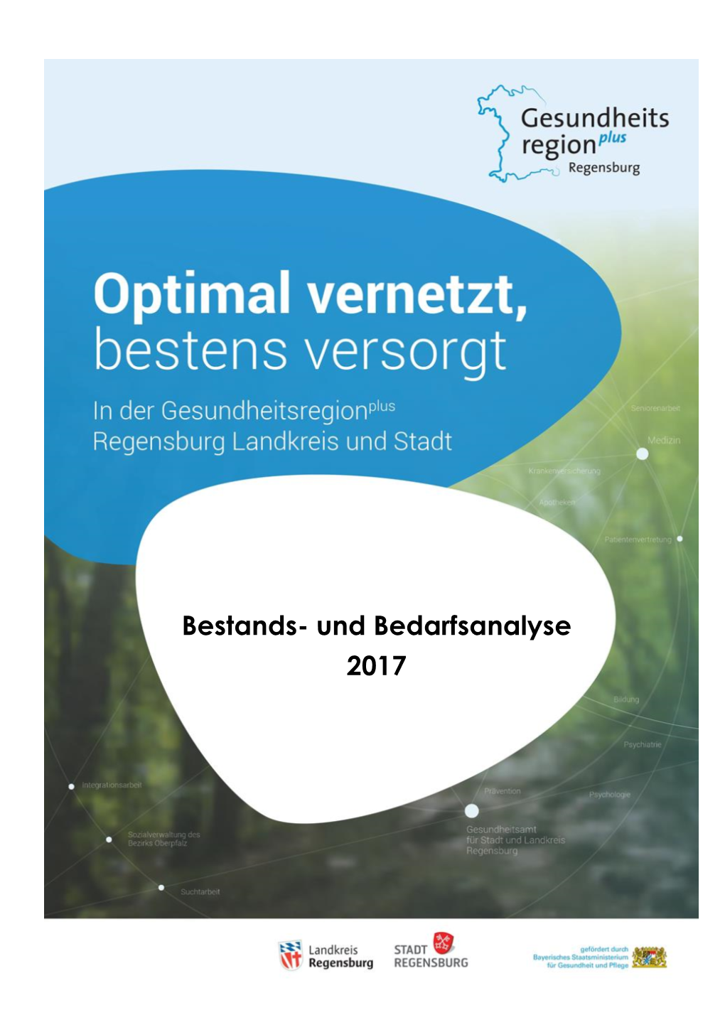 Bestands- Und Bedarfsanalyse 2017