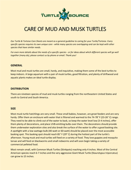 Care of Mud and Musk Turtles