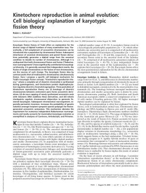 Cell Biological Explanation of Karyotypic Fission Theory
