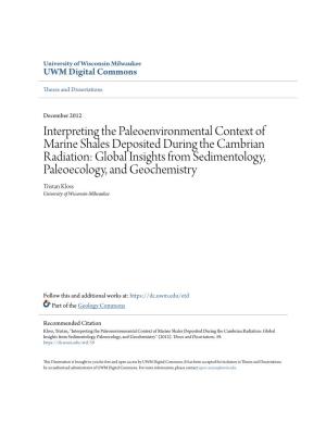 Interpreting the Paleoenvironmental Context of Marine Shales