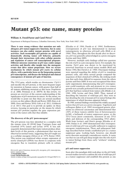 Mutant P53: One Name, Many Proteins