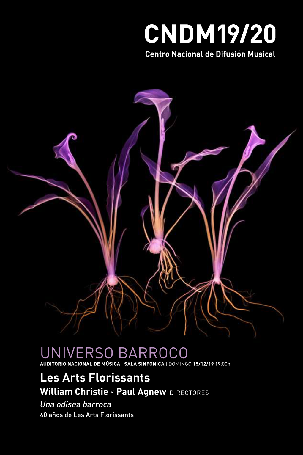 Universo Barroco