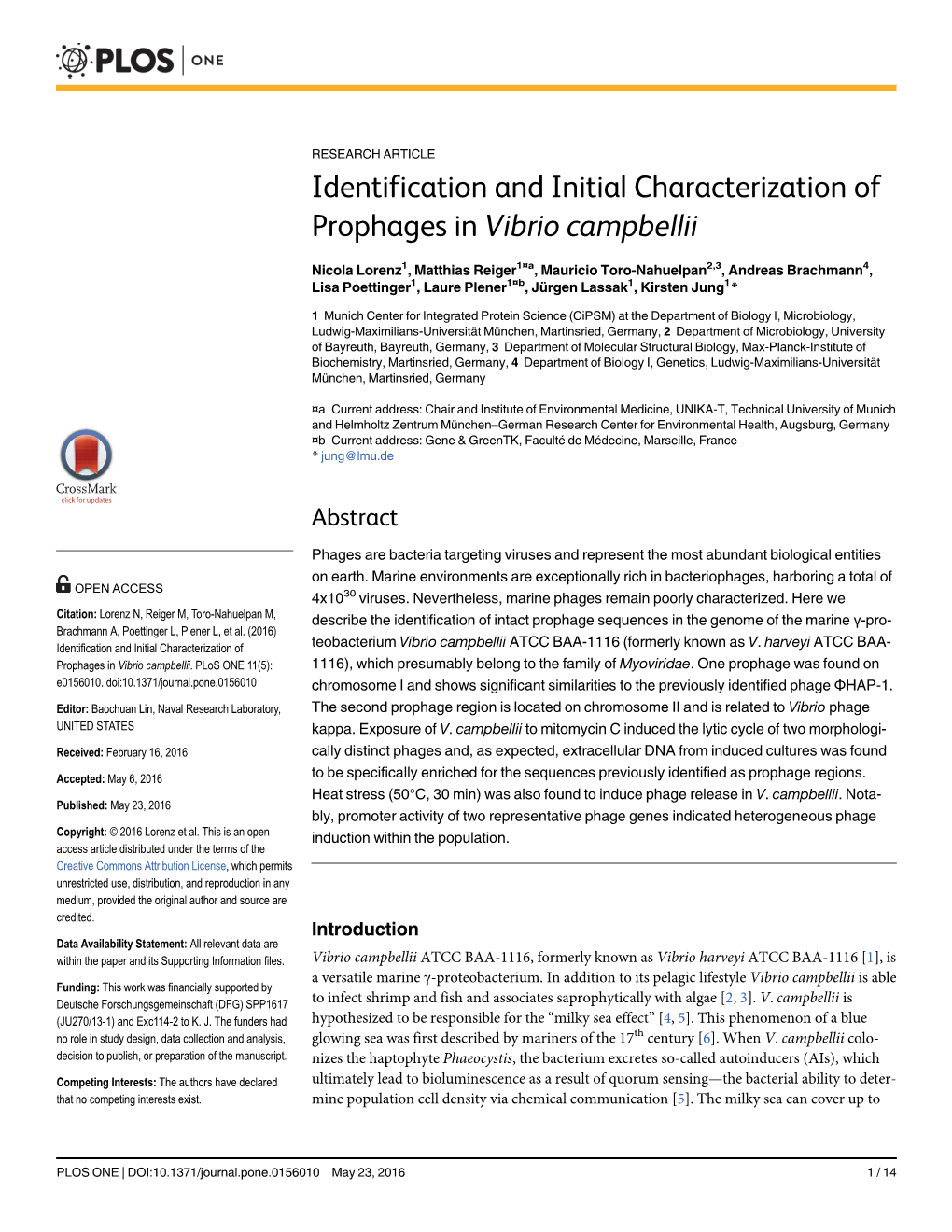 Identification and Initial Characterization of Prophages in Vibrio Campbellii