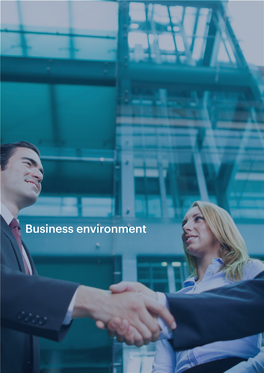 Business Environment Business Environment Investor Guide