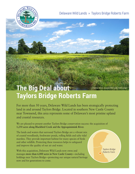 The Big Deal About Taylors Bridge Roberts Farm